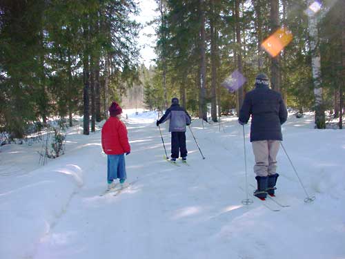 Cross country skiing at Penttilä Gardens.