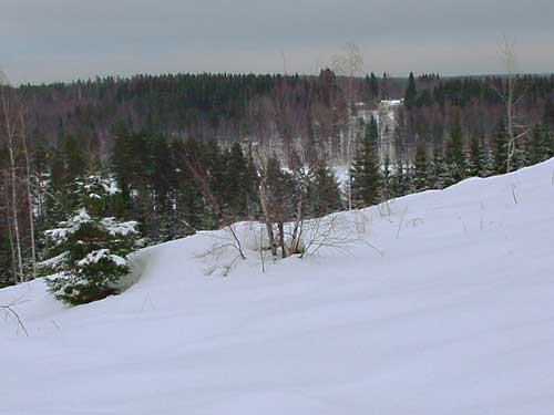 Cross country skiing around Penttilä Gardens cottage.