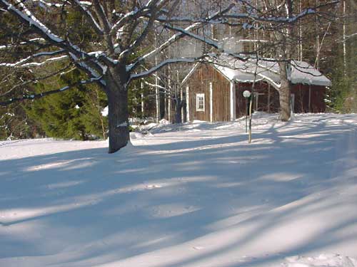Cross country skiing around Penttilä Gardens winter cottage.