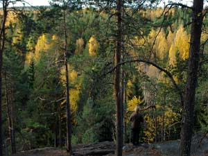 Hiiking along the nature trails of Finland and exploring the Finnish wilderness.