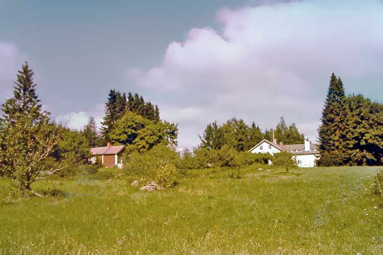 The Penttilä grounds in the fifties of the nineteenth century.