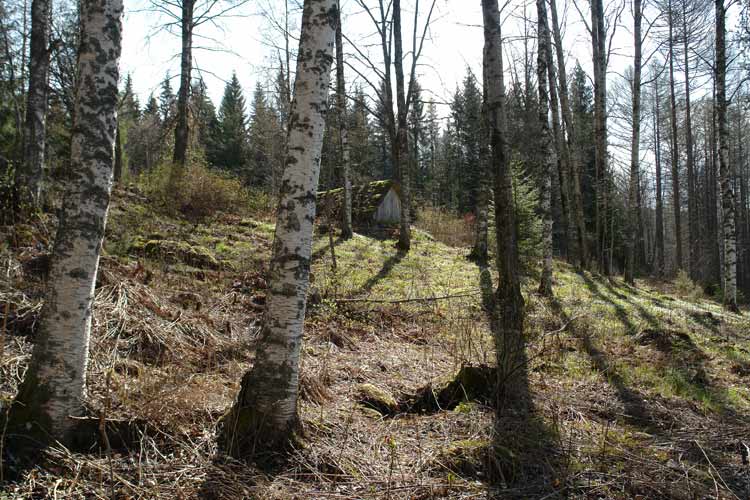 To the north of the stone steps is an old earth cellar made from the wood of trees felled on Penttil&auml; estate.