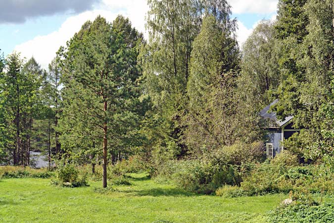 vakantiehuizen - een vakantiehuis in Finland