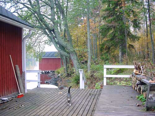 winter cottages zomerhuisjes - skandinavia - skiing, snowboarding, dogsleds, snow mobiles, trekking, fishing, swimming and sauna holidays - vacations in your own cottage in south east Finland - summer, fall, autumn, winter and spring at Penttilä Gardens