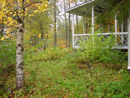 winter cottages zomerhuisjes - skandinavia - skiing, snowboarding, dogsleds, snow mobiles, trekking, fishing, swimming and sauna holidays - vacations in your own cottage in south east Finland - summer, fall, autumn, winter and spring at Penttilä Gardens