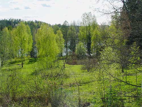 summer cottages zomerhuisjes - skandinavia - skiing, snowboarding, dogsleds, snow mobiles, trekking, fishing, swimming and sauna holidays - vacations in your own cottage in south east Finland - summer, fall, autumn, winter and spring at Penttilä Gardens