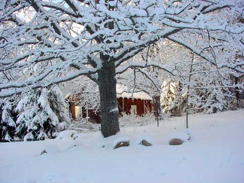 winter cottages in skandinavia - skiing, snowboarding, dogsleds, snow mobiles and sauna holidays - winter in your own cottage in south east Finland at Penttilä Gardens
