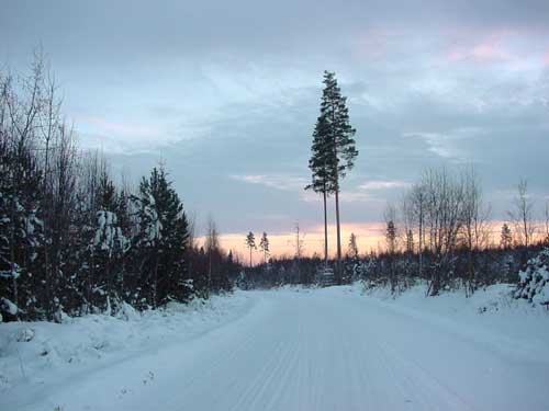 Kangasniemi, Finland - winter cottages zomerhuisjes - skandinavia - skiing, snowboarding, dogsleds, snow mobiles, trekking, fishing, swimming and sauna holidays - vacations in your own cottage in south east Finland - summer, fall, autumn, winter and spring at Penttilä Gardens