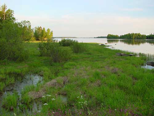 Kangasniemi, Finland - winter cottages zomerhuisjes - skandinavia - skiing, snowboarding, dogsleds, snow mobiles, trekking, fishing, swimming and sauna holidays - vacations in your own cottage in south east Finland - summer, fall, autumn, winter and spring at Penttilä Gardens