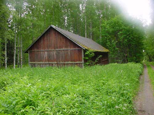 Kangasniemi, Finland - winter cottages zomerhuisjes - skandinavia - skiing, snowboarding, dogsleds, snow mobiles, trekking, fishing, swimming and sauna holidays - vacations in your own cottage in south east Finland - summer, fall, autumn, winter and spring at Penttilä Gardens