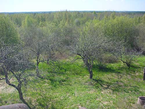 Kangasniemi, Finland - winter cottages zomerhuisjes - skandinavia - skiing, snowboarding, dogsleds, snow mobiles, trekking, fishing, swimming and sauna holidays - vacations in your own cottage in south east Finland - summer, fall, autumn, winter and spring at Penttilä Gardens