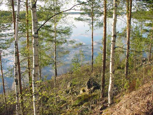 Kangasniemi, Finland - winter cottages zomerhuisjes - skandinavia - skiing, snowboarding, dogsleds, snow mobiles, trekking, fishing, swimming and sauna holidays - vacations in your own cottage in south east Finland - summer, fall, autumn, winter and spring at Penttilä Gardens