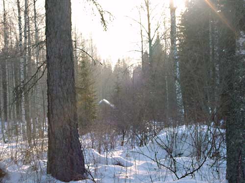 Kangasniemi, Finland - winter cottages zomerhuisjes - skandinavia - skiing, snowboarding, dogsleds, snow mobiles, trekking, fishing, swimming and sauna holidays - vacations in your own cottage in south east Finland - summer, fall, autumn, winter and spring at Penttilä Gardens